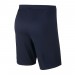 Nike JR Academy 18 Short 451