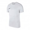 Nike JR Dry Park 18 Top T-Shirt 100