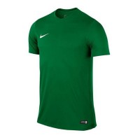Nike JR T-Shirt SS Park VI Jersey 302