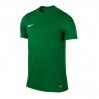 Nike JR T-Shirt SS Park VI Jersey 302