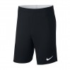 Nike JR Academy 18 Short 010
