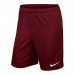 Nike JR Short Park II Knit 677