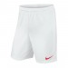 Nike JR Short Park II Knit 102