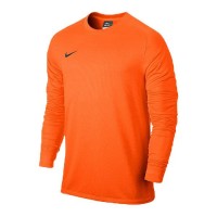 Свитер вратарский Nike Park Goalie II Jersey 803