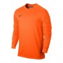 Свитер вратарский Nike Park Goalie II Jersey 803