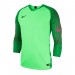 Футболка Nike Gardien Long Sleeve 898043-398