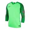 Футболка Nike Gardien Long Sleeve 898043-398