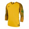 Футболка Nike Gardien Long Sleeve 898043-719