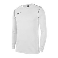 Тренировочная кофта Nike Park 20 Crew BV6875-100