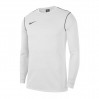 Тренировочная кофта Nike Park 20 Crew BV6875-100
