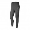 Брюки чоловічі Nike Park 20 Fleece (CW6907-071)