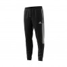 Штаны adidas Tiro 21 Woven 356