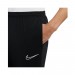 Штаны Nike Dri-FIT Academy 21 CW6122-010