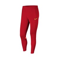 Штаны Nike Dri-FIT Academy 21 CW6122-687