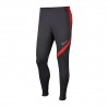 Штаны спортивные Nike Academy Pro BV6920-070