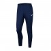 Штаны спортивные Nike Park 20 BV6877-410