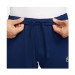 Штаны Nike Dri-FIT Academy 21 CW6122-492 цвет: синий