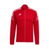 Тренировочная кофта adidas Condivo 21 124