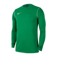 Тренировочная кофта Nike Park 20 Crew BV6875-302