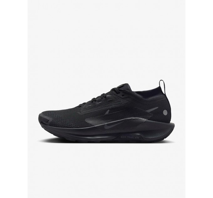 Кроссовки Nike Pegasus Trail 5 Gtx FQ0908-002