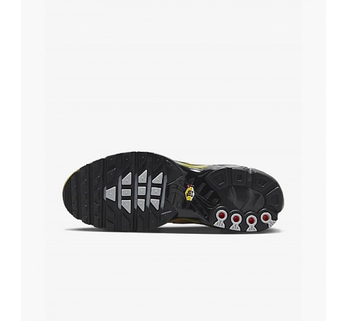 Кросівки Nike Air Max Plus FB9722-700
