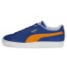 Кроссовки Puma Suede Teams Ii 386595-01