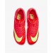 Кроссовки Nike Zoom Rival Sprint FZ9663-600