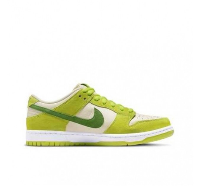 Кроссовки Nike Dunk Sb DM0807-300