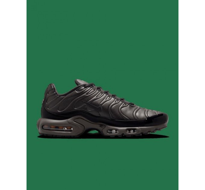 Кроссовки Мужские Nike Air Max Plus Paris Lifestyle Shoe Black HJ4519-200
