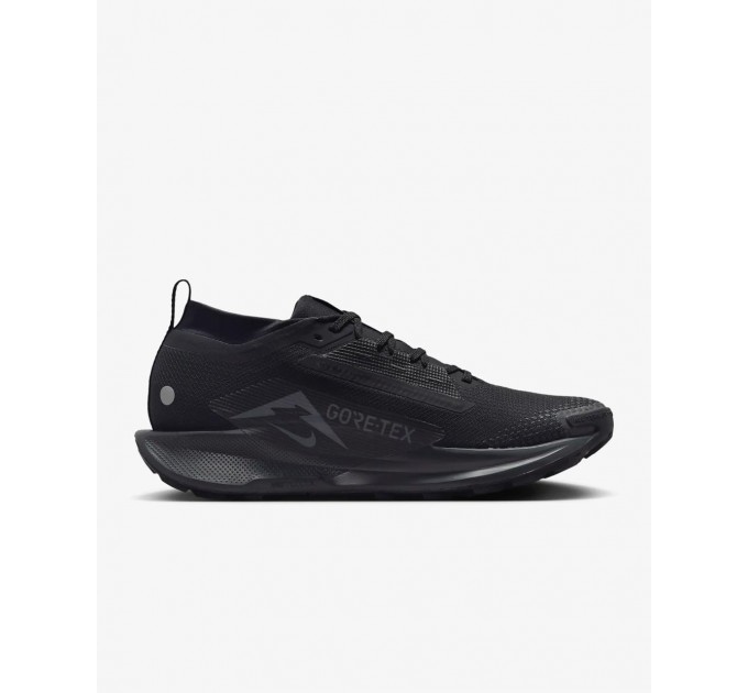 Кроссовки Nike Pegasus Trail 5 Gtx FQ0908-002
