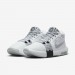 Кросівки Nike Lebron Witness Viii FB2239-100