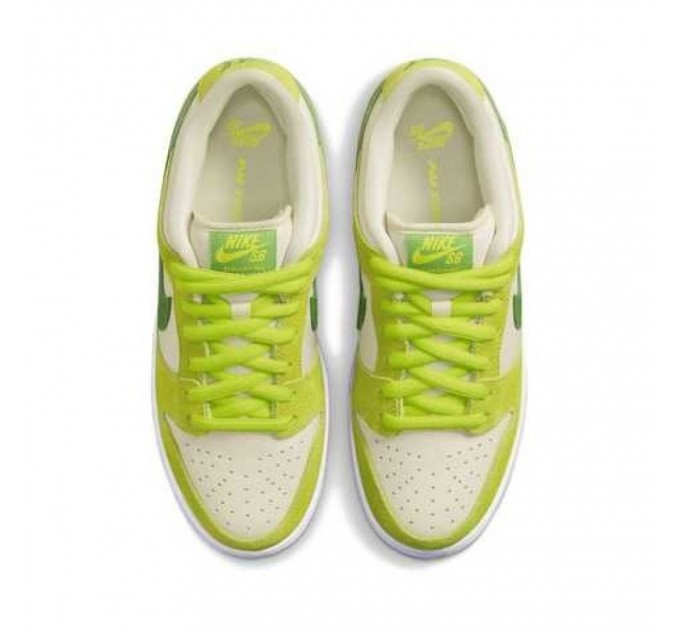 Кроссовки Nike Dunk Sb DM0807-300