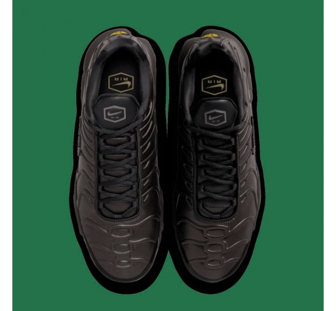 Кроссовки Мужские Nike Air Max Plus Paris Lifestyle Shoe Black HJ4519-200