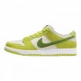 Кроссовки Nike Dunk Sb DM0807-300