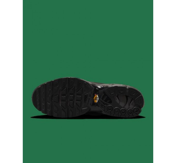 Кроссовки Мужские Nike Air Max Plus Paris Lifestyle Shoe Black HJ4519-200