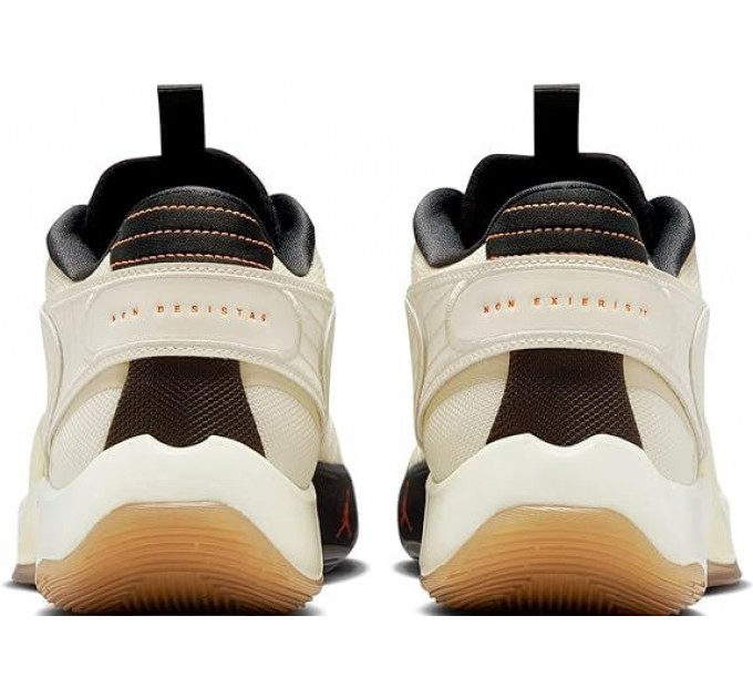 Кроссовки Air Jordan Luka 2 DX8733-100