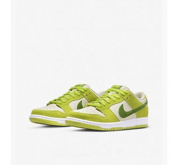 Кроссовки Nike Dunk Sb DM0807-300