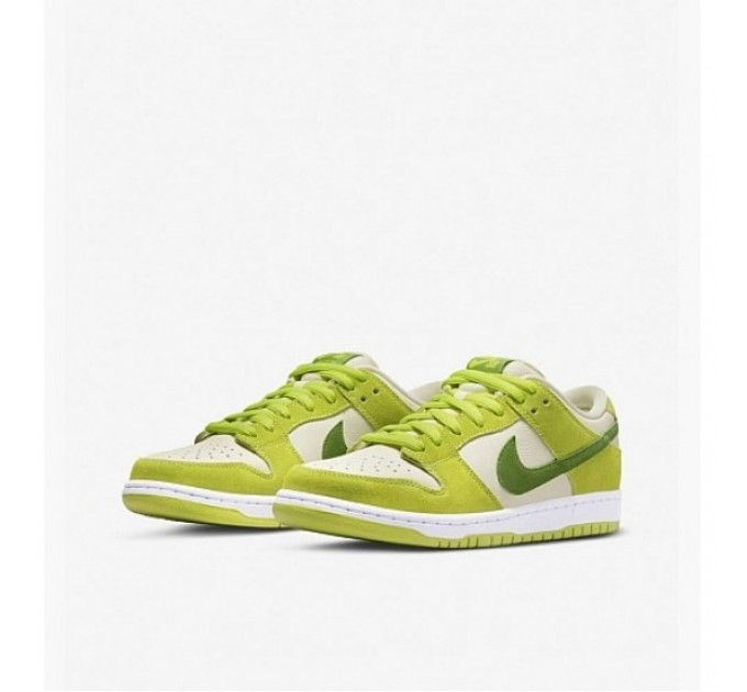 Кроссовки Nike Dunk Sb DM0807-300