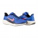 Кроссовки Nike Air Zoom Pegasus 41 FD2722-401