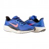 Кроссовки Nike Air Zoom Pegasus 41 FD2722-401