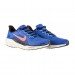 Кроссовки Nike Air Zoom Pegasus 41 FD2722-401