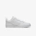 Кроссовки Nike Court Borough Low 2 BQ5448-100