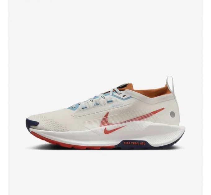 Кроссовки Nike Pegasus Trail 5 Gtx FQ0908-003