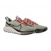 Кросівки Nike React Pegasus Trail 4 DJ6158-007