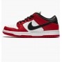 Кроссовки Nike Dunk Sb Pro BQ6817-600