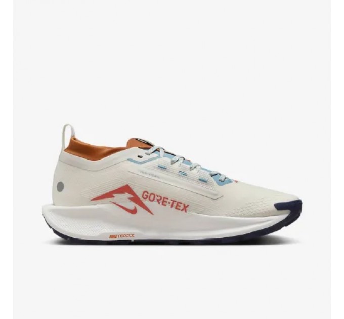 Кроссовки Nike Pegasus Trail 5 Gtx FQ0908-003