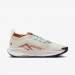 Кроссовки Nike Pegasus Trail 5 Gtx FQ0908-003