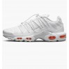 Кроссовки Nike Air Max Plus Utility FJ4232-100
