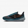 Кроссовки Nike Air Winflo 9 Shield DM1106-002