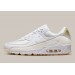 Кроссовки Nike Air Max 90 DV1734-100